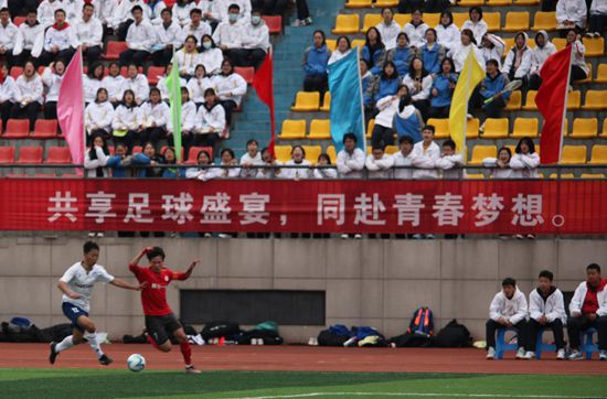 91精品调教在线观看