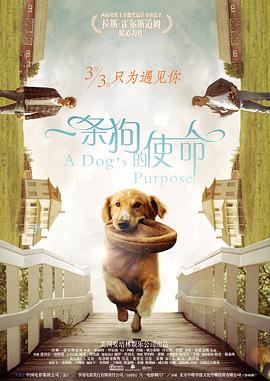 久久久av亚洲男天堂