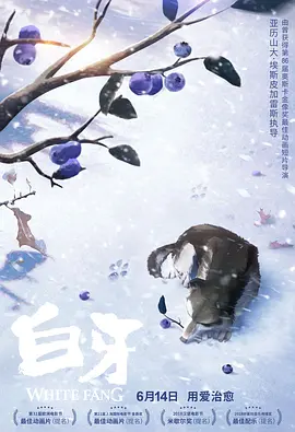 欧洲综合网
