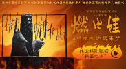 午夜免费福利片