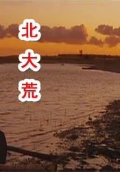 成人小视频免费观看