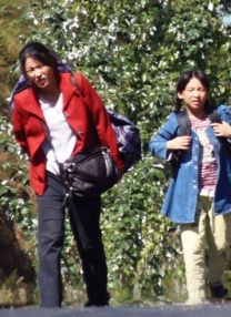 岛国av在线
