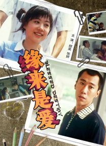 女刑警的调查方法