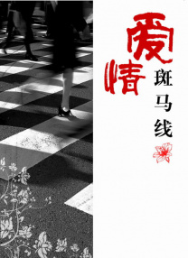 国产成人精品在视频