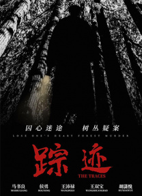 亚洲视频观看
