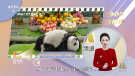 日韩一级片免费在线观看